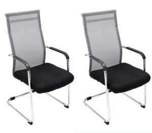 2er Set Besucherstuehle Brenda grau