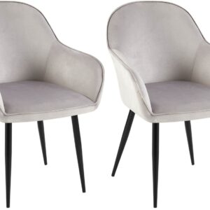 2er Set Esszimmerstuhl Boise Samt grau