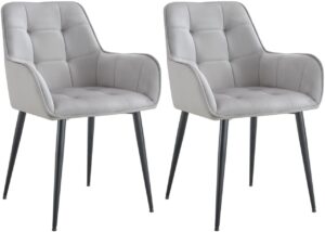 2er Set Esszimmerstuhl Ferndale Samt hellgrau