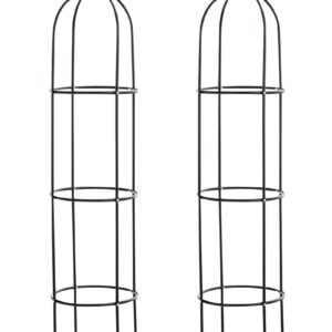 2er Set Rosensäule Romantika V2 schwarz