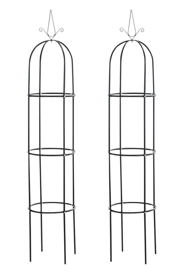 2er Set Rosensäule Romantika V2 schwarz