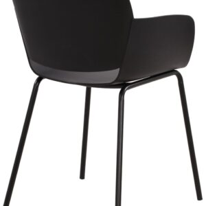 2er Set Stuhl Alpena schwarz