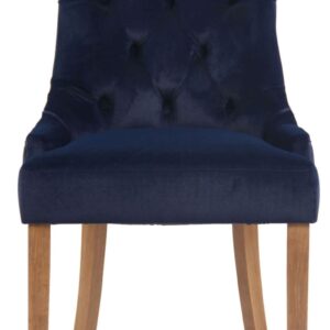 4er Set Esszimmerstühle Aberdeen Samt antik-hell blau