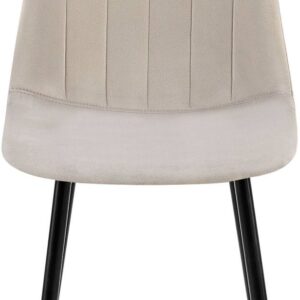 4er Set Esszimmerstuhl Baxter Samt grau