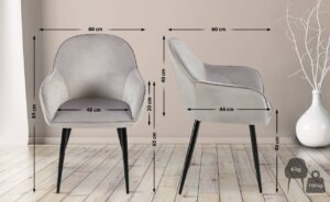 Esszimmerstuhl Boise Samt grau