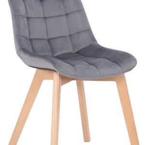 Esszimmerstuhl Passaic Samt grau