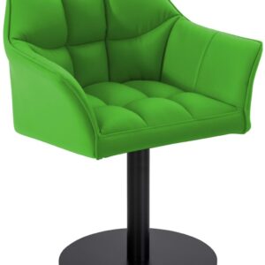 Lounger Damaso Kunstleder grün