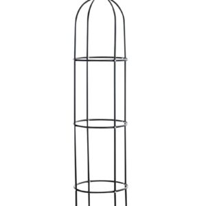 Rosensäule Romantika V2 schwarz