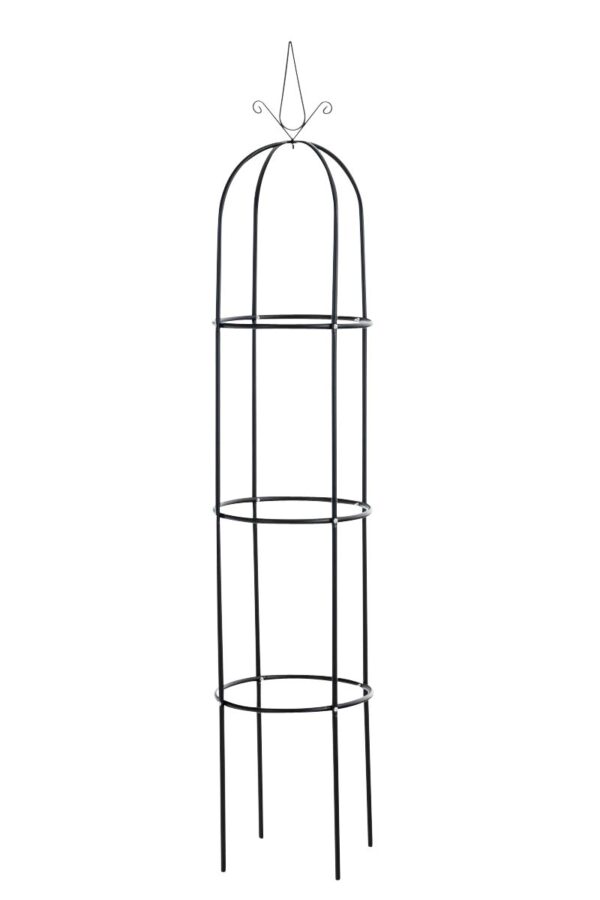 Rosensäule Romantika schwarz